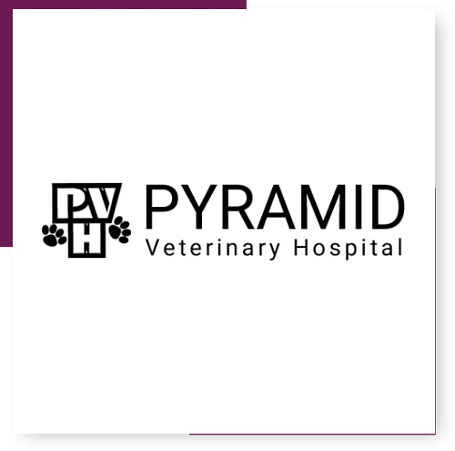 Pyramid Veterinary Hospital logo